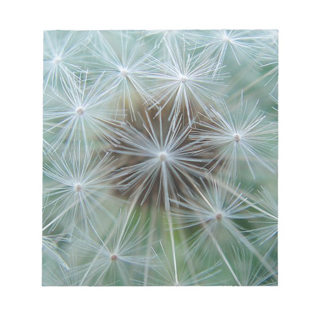 LöwenŌ Notizblock (Vorderseite)