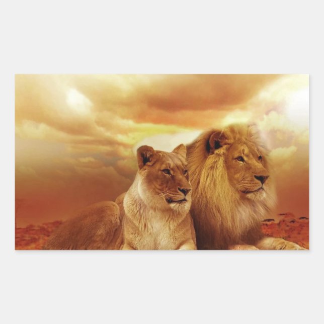 Löwenpaar in der Safari Rechteckiger Aufkleber (Vorderseite)