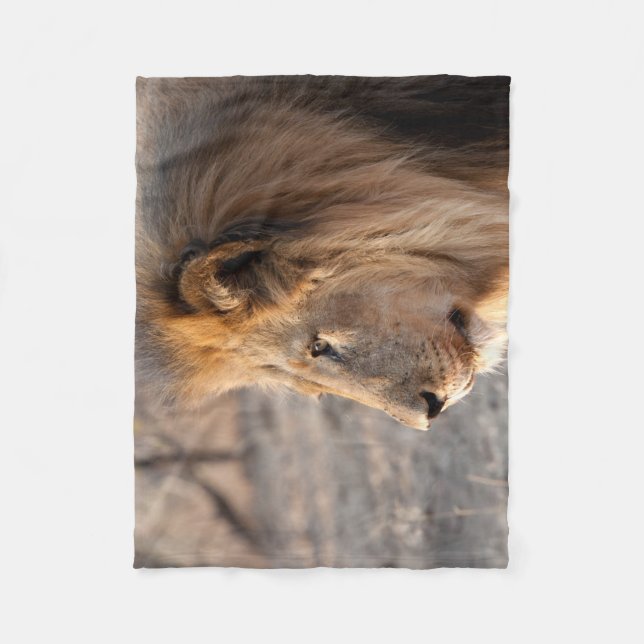 Löwenportrait Fleecedecke (Vorderseite)