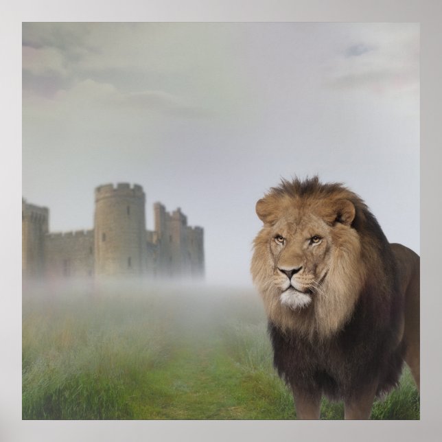 Löwenposter Poster (Vorne)