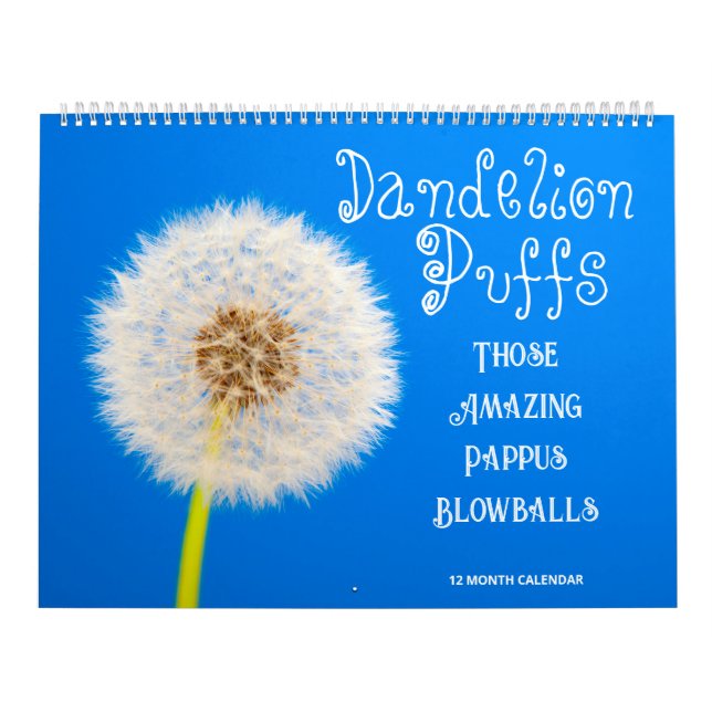Löwenpuppen: Diese Phantastischen Pappusbälle Kalender (Titelbild)