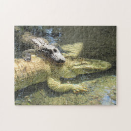 Löwenpuzzle