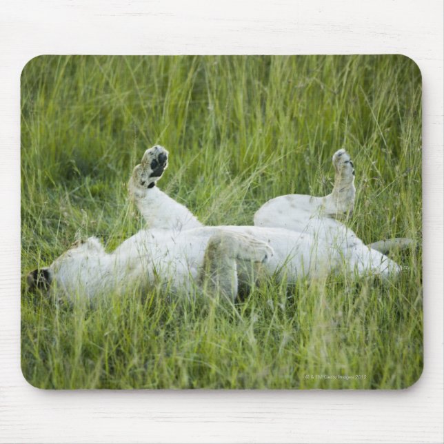 Löwenrollen im großen Gras, Afrika Mousepad (Vorne)
