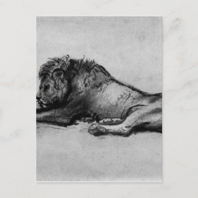 Löwenruhe von Rembrandt Postkarte (Vorderseite)