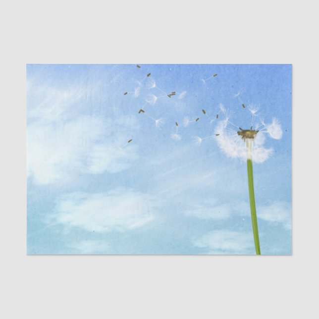Löwenzahn-blauer Himmel-Natur-Illustration Seidenpapier (Vorderseite)