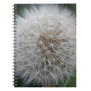 Löwenzahn-Blüten-Samen Notizbuch Notizblock
