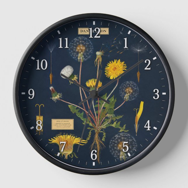 Löwenzahn - Botanisch Uhr (Vorderseite)