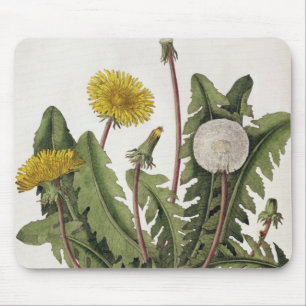 Löwenzahn (Farbstich) Mousepad
