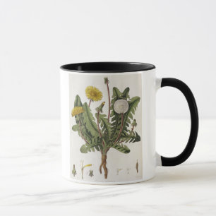 Löwenzahn (Farbstich) Tasse