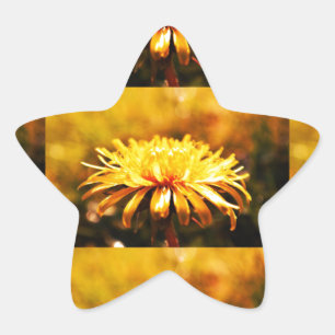 Löwenzahn Gelbe Blüten Blumen Reben Frühling Stern-Aufkleber