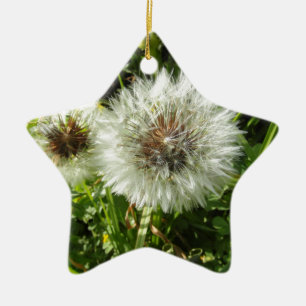 Löwenzahn Keramik Ornament