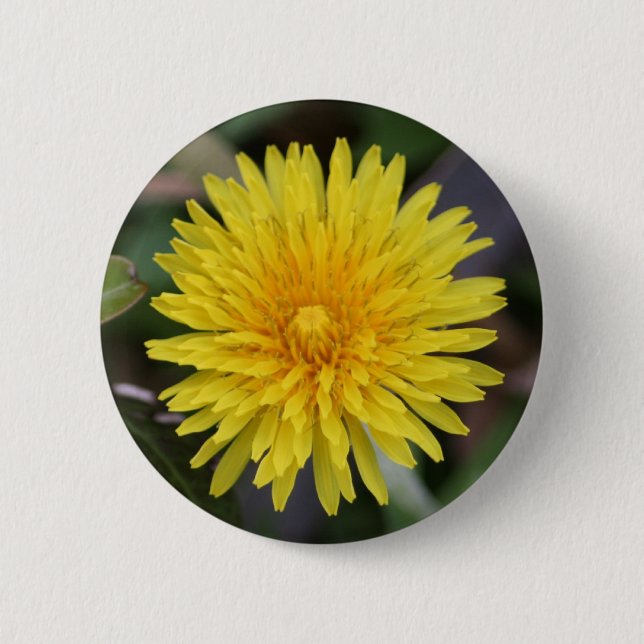 Löwenzahn-Knopf Button (Vorderseite)