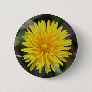 Löwenzahn-Knopf Button