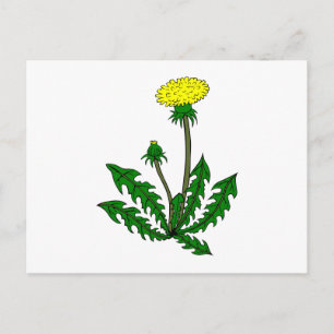 Löwenzahn-Kronleuchter Postkarte