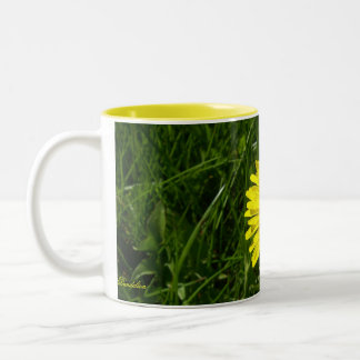 Löwenzahn, Pissenlit Zweifarbige Tasse