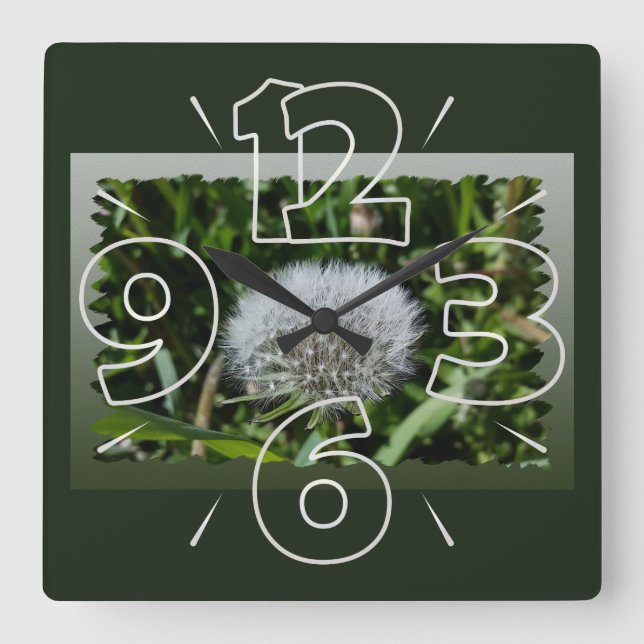 Löwenzahn Quadratische Wanduhr (Vorderseite)
