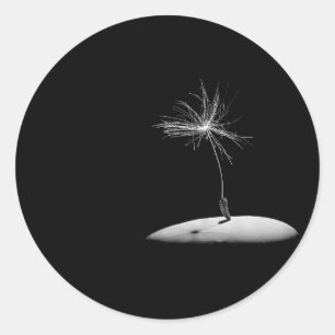 Löwenzahn-Samen-Kopf Runder Aufkleber