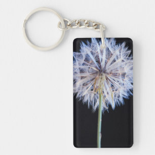 Löwenzahn (Taraxacum Officinale) Samenstand Schlüsselanhänger