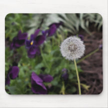 Löwenzahn- u. StiefmütterchenMausunterlage