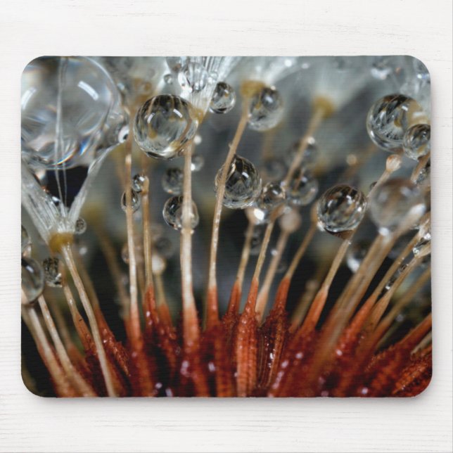 Löwenzahn und Wassertropfen, CA Mousepad (Vorne)