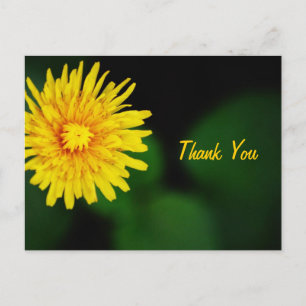 Löwenzahnblüten-Dankeschön-Postkarte Postkarte