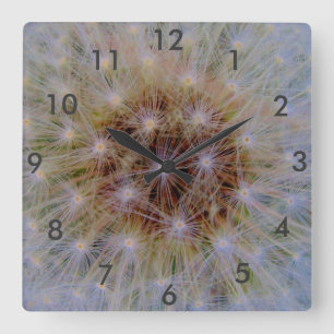 Löwenzahnblüten Quadratische Wanduhr
