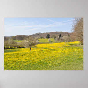 Löwenzahnfelder Poster
