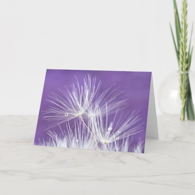 LöwenzahnFlorets Karte (Vorderseite)