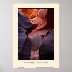 Lower Antelope Canyon Arizona Tumbleweed Südwesten Poster
