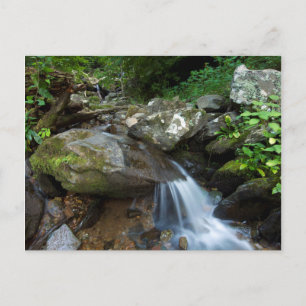 Lower Dark Hollow Falls, Shenandoah Postkarte