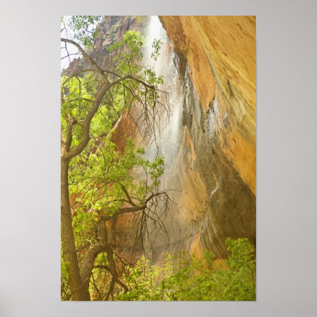 Lower Emerald Pool Wasserfall Roter Felsen und Bau Poster (Vorne)