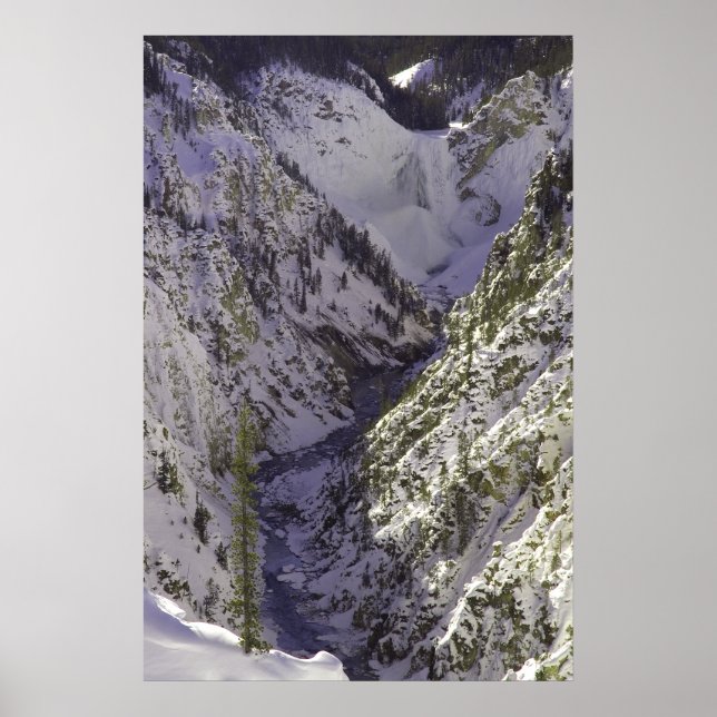 Lower Falls Grand Canyon des Yellowstone Poster (Vorne)