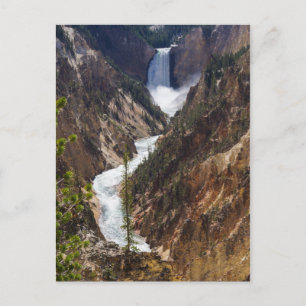 Lower Falls Yellowstone Postkarte
