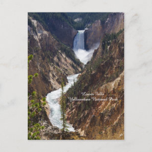 Lower Falls Yellowstone Postkarte