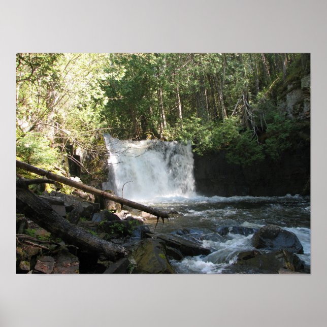 Lower Johnson Falls Poster (Vorne)