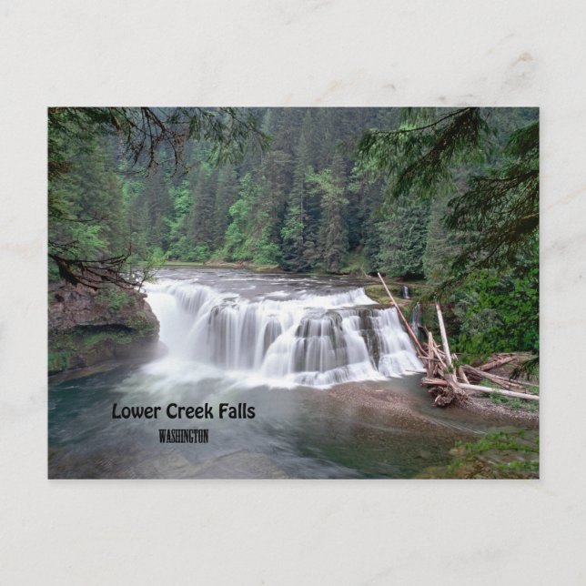 Lower Lewis Falls Washington Postcard Postkarte (Vorderseite)