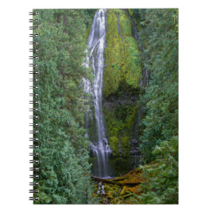 Lower Proxy Falls Willamette Nationalforst Notizblock