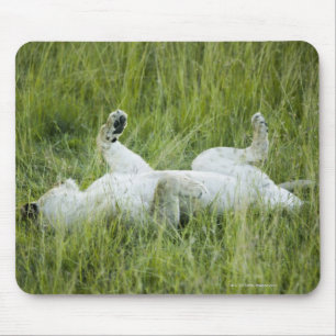 Löwerollen im hohen Gras, Afrika Mousepad