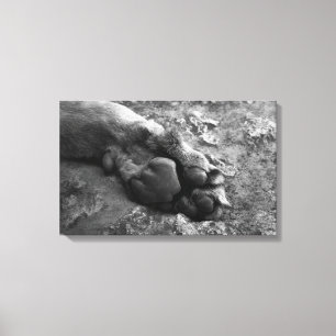 Löwetatzenwand-Druck-Leinwand Leinwanddruck