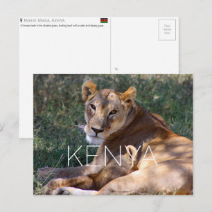 Löwin im Masai Mara, Kenia Reise-Postkarte Postkarte