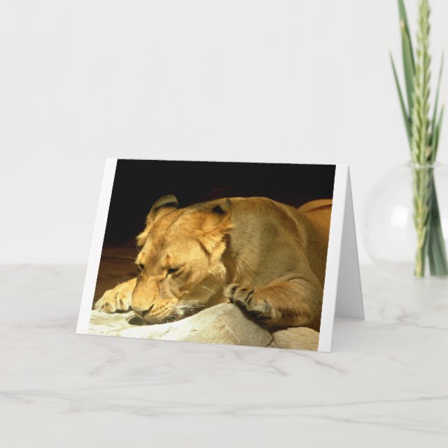 Löwin Karte (Vorderseite)