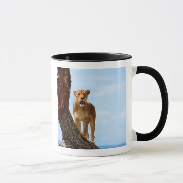 Löwin Tasse (Rechts)