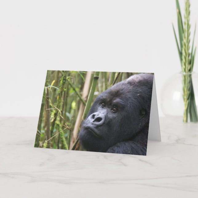 Lowland Gorilla Grußkarte Karte (Vorderseite)