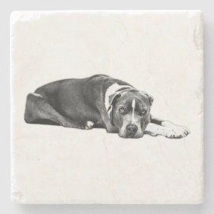 Loyal Companion Pitbull Mix Art Untersetzer