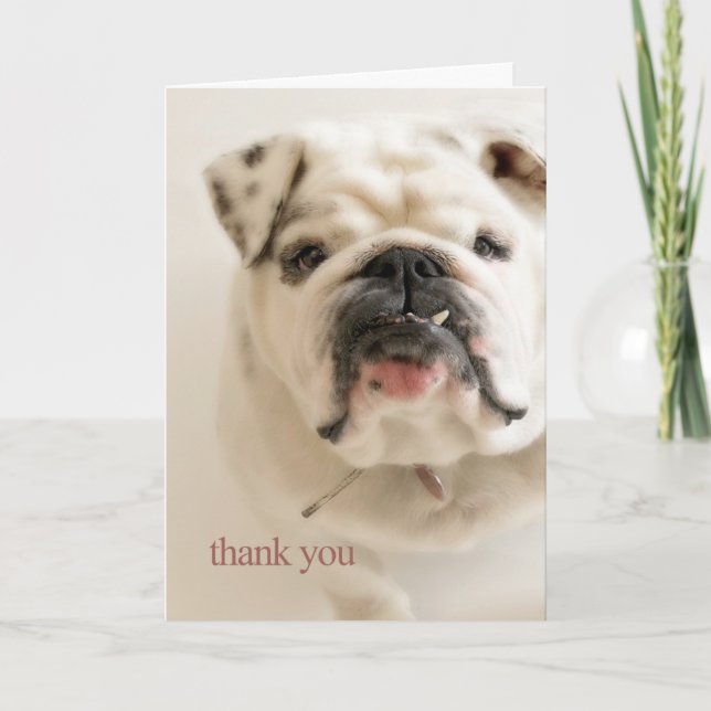 Loyale weiße Bulldogge danken Ihnen Dankeskarte (Vorderseite)