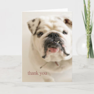 Loyale weiße Bulldogge danken Ihnen Dankeskarte