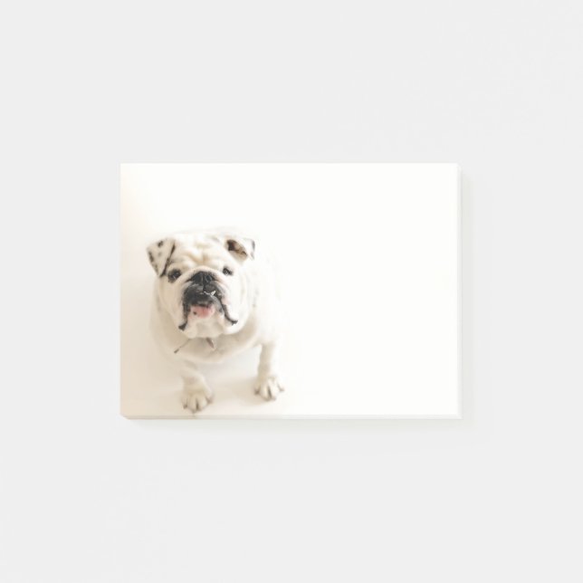 Loyale weiße Bulldoggen-Fotografie Post-it Klebezettel (Vorderseite)
