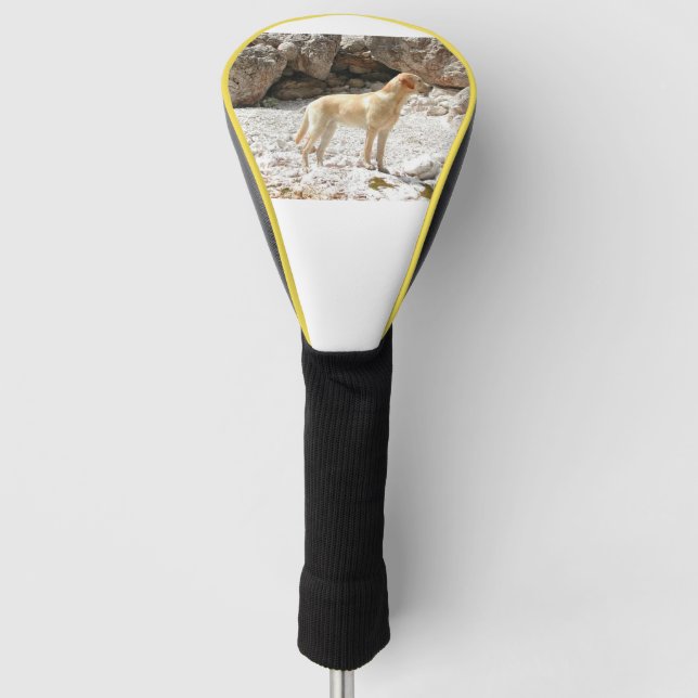 LR gelbe Labrador voll Golf Headcover (Vorderseite)