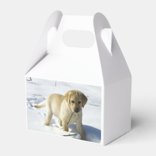 LR gelbe Labrador Welpe im Schnee Geschenkschachtel