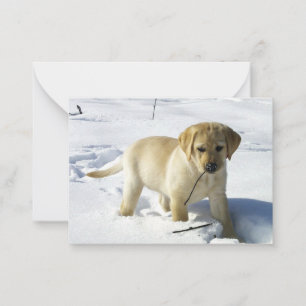 LR gelbe Labrador Welpe im Schnee Mitteilungskarte